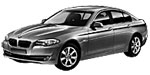 BMW F10 P0A87 Fault Code